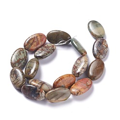 Picasso Jasper Natural Picasso Jasper Bead Strands, Oval, 25x15x7mm, Hole: 1.4mm, about 16pcs/strand, 15.55''(39.5cm)