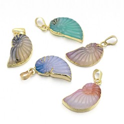 Mixed Color Natural Agate Crystal Electroplate Conch Pendants, with Brass Findings, Mixed Color, 28~30x14~15x4~7mm, Hole: 5x8mm