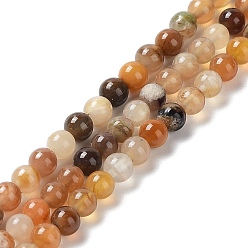Pétrifié En Bois Bois pétrifié naturel brins de perles rondes, 4mm, Trou: 1mm, Environ 98 pcs/chapelet, 15.7 pouce