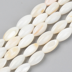 Seashell Color Natural Freshwater Shell Beads Strands, Rice, Seashell Color, 11x5mm, Hole: 0.8mm, about 34pcs/Strand, 14.96 inch(38cm)
