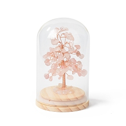 Cuarzo Rosa Chips de cuarzo rosa natural, árbol del dinero en campanas de cristal de cúpula con decoraciones de exhibición de base de madera, para la decoración de la oficina en casa buena suerte, 71x114 mm