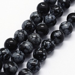 Snowflake Obsidian Natural Snowflake Obsidian Beads Strands, Round, 10mm, Hole: 1mm, about 37pcs/strand,  14.76 inch(37.5cm)