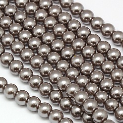 Gris Ardoise Foncé Brins de perles rondes en verre teinté écologique, Grade a, cordon en coton fileté, gris ardoise foncé, 10mm, Trou: 0.7~1.1mm, Environ 42 pcs/chapelet, 15 pouce