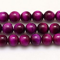 Fuchsia Natural Tiger Eye Beads Strands, Grade A+, Dyed & Heated, Round, Fuchsia, 6mm, Hole: 1mm, about 65pcs/strand, 15.75 inch