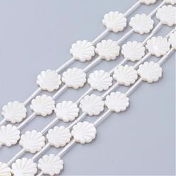 Coquillage De Mer Perles naturelles de coquillages blancs, perles en nacre, en forme de coquille, couleur de coquillage, 12x12x3mm, Trou: 0.8~1mm