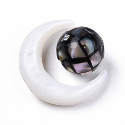 Coquillage Noir Perles de coquillages naturels d'eau douce, avec coque jaune naturelle, lune avec rond, moon: 15x12.5x3.5 mm, tour: 8 mm, Trou: 0.8mm, environ 2 pcs / ensemble