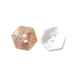 Coquillage De Mer 2 boutons shell -hole, hexagone, couleur de coquillage, 11x12.5x0.5mm, Trou: 1.6mm