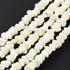 Blanc Naturelles coquillage perles brins, eau de Javel, puces, blanc, 2~7x5~7.5x4.5~7mm, Trou: 0.5~0.7mm, Environ 97~105 pcs/chapelet, 15.35 pouces~15.63 pouces (39cm~39.7cm)