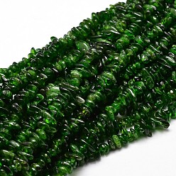 Diopside Natural Diopside Chip Beads Strands, 5~14x4~10mm, Hole: 1mm, about 15.5 inch~16.1 inch