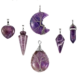 Amethyst 6Pcs 6 Style Natural Amethyst Pendants, with Platinum Tone Brass & Alloy Findings, Mixed Shapes, 22~55x12~32x12~16mm, 1pcs/style