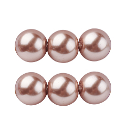Light Coral Grade A Glass Pearl Beads, Pearlized, Round, Light Coral, 4mm, Hole: 0.7~1.1mm, about 100pcs/Strand, 16''(40.64cm)