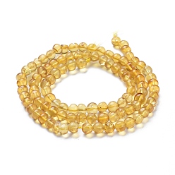 Amber Natural Amber Beads Strands, Round, 5~5.5mm, Hole: 0.5mm, about 100pcs/Strand, 18.31 inch(46.5cm)