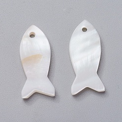 Shell Shell Pendants, Fish, 22.5~23x9.5~10x2mm, Hole: 1.5~1.6mm