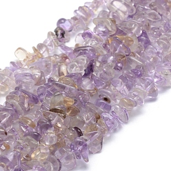 Ametrine Natural Ametrine Beads Strands, Chip, 5~8mm, Hole: 0.8mm, about 16 inch(40.6cm)