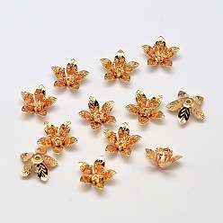 Real 18K Gold Plated 5-Petal Flower Brass Bead Caps, Cadmium Free & Nickel Free & Lead Free, Real 18K Gold Plated, 14x6mm, Hole: 1mm