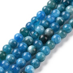 Apatite Natural Apatite Beads Strands, Round, 5.5mm, Hole: 1mm, about 74pcs/strand, 16.1 inch(41cm)