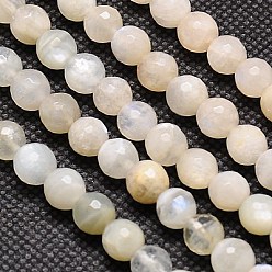 White Moonstone Natural White Moonstone Beads Strands, Faceted, Round, Navajo White, 6mm, Hole: 1mm, about 60pcs/strand, 15.2 inch