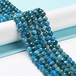 Apatite Perles naturelles apatite brins, facette, ronde, 5.8mm, Trou: 0.8mm, Environ 72 pcs/chapelet, 15.43 pouce (39.2 cm)