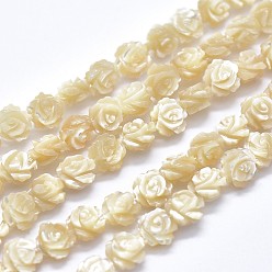 Blanched Almond Shell Bead Strands, Double-sided Rose, Blanched Almond, 8~8.5x4~5mm, Hole: 0.8mm, about 50pcs/strand, 15.15 inch(38.5cm)