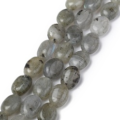Labradorite Natural Gray Labradorite Beads Strands, Oval, 8x6x3.5~4mm, Hole: 1mm, about 45~52pcs/strand, 15.16~15.74 inch(38.5~40cm)