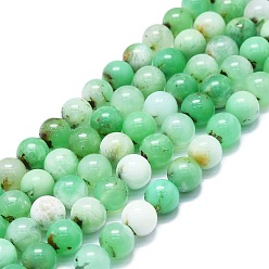 Chrysoprase Brins naturels de perles de chrysoprase, ronde, 8~9mm, Trou: 0.8mm, Environ 48~52 pcs/chapelet, 15.35''~16.54'' (39~42 cm)