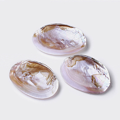 Cáscara Decoración de concha de perla de agua dulce natural, 135~170x95~110x30~40 mm