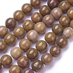 Pierre Précieuse Naturelle Brins de perles pierres fines naturelles , ronde, 10mm, Trou: 1mm, Environ 38 pcs/chapelet, 15.5 pouce (39.5 cm)