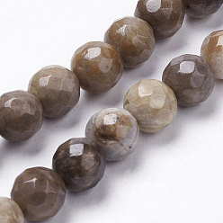 Saddle Brown Natural Silver Leaf Jasper Beads Strands, Round, Faceted, Saddle Brown, 4mm, Hole: 1mm, about 50pcs/strand, 7.6 inch(19.5cm)