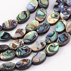 Coloré Brins de perles en coquille d'ormeau naturel / coquille de paua, ovale, colorées, 12x8x3mm, Trou: 0.5mm