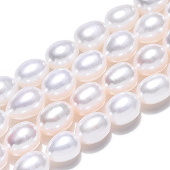 Seashell Color Natural Cultured Freshwater Pearl Beads Strands, Rice, Seashell Color, 7.5~8.3x6~6.7mm, Hole: 0.7~0.8mm, about 23pcs/strand, 7.09 inch(18cm)