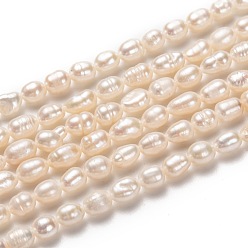 Bisque Natural Cultured Freshwater Pearl Beads Strands, Rice, Bisque, 5~7x4~5mm, Hole: 0.5mm, about 43~55pcs/strand, 13.39~13.78''(34~35cm)