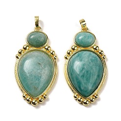 Amazonite Natural Amazonite Pendants, Teardrop Charms with Rack Plating Golden Tone Brass Findings, Cadmium Free & Lead Free, 43.5x22x7.8mm, Hole: 3.2x5.3mm