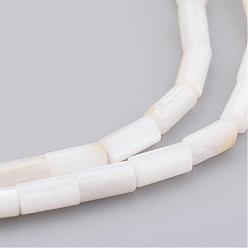 Floral White Natural Shell Bead Strands, Dyed, Column, Floral White, 8x4mm, Hole: 0.5mm, about 50pcs/strand, 15.7 inch