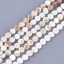 Coquillage De Mer Chapelets de perles en coquille eau douce , plat rond, couleur de coquillage, 6x2~3mm, Trou: 0.5mm, Environ 64~68 pcs/chapelet, 14.5 pouce