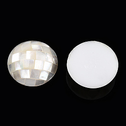 Coquillage Blanc Perles naturelles de coquillages blancs, pas de trous / non percés, plat rond, 21.5~22x15mm