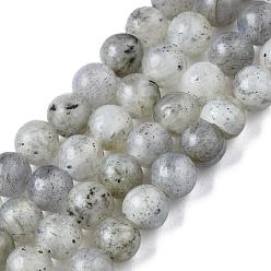 Labradorite Natural Labradorite Round Beads Strands, 4.5mm, Hole: 1mm, about 96pcs/strand, 15.5 inch