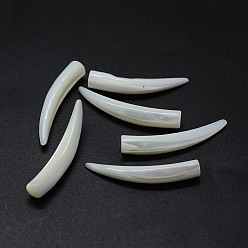 Coquillage De Mer Perles de coquillages, perles non percées / sans trou, forme ivoire, couleur de coquillage, 33~38x5~6mm