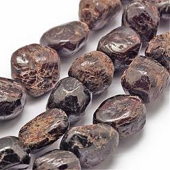 Гранат Гранат природный бисер нитей, упавший камень, самородки, 18~25x18~25x15~23 мм, отверстие : 2 мм, около 17~22 шт / нитка, 15.7 дюйм (40 см)
