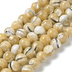 Goldenrod Natural Trochus Shell Beads Strands, Round, Goldenrod, 10~10.5mm, Hole: 0.8mm, about 38~39pcs/strand, 15.16''~15.55''(38.5~39.5cm)