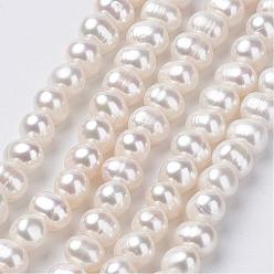 Old Lace Natural Cultured Freshwater Pearl Beads Strands, Potato, Old Lace, 8~9x7~10mm, Hole: 0.5mm, about 52pcs/strand, 15.7 inch