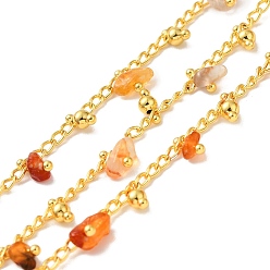 Red Agate Handmade Natural Red Agate Beaded Chains, Real 18K Gold Plated Brass Twist Chains, Soldered, with Spool, Cadmium Free & Lead Free, Chain Link: 2.5x2x0.5mm, Gemstone: 7x6~10.5x4.5~mm