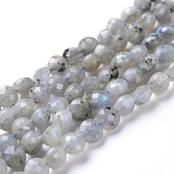 Labradorite Natural Labradorite Beads Strands, Faceted, Flat Round, 6~7x4~4.5mm, Hole: 1mm, about 61~64pcs/strand, 14.96 inch(38cm)