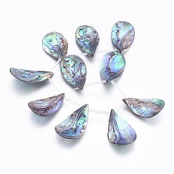 Paua Shell Natural Abalone Shell/Paua Shell Beads Strands, Top Drilled Beads, Teardrop, 35~39x19~23x3~6mm, Hole: 0.5mm, about 10pcs/strand, 8.46 inch(21.5cm)
