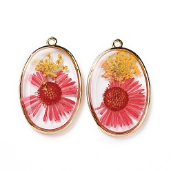 Crimson Transparent Clear Epoxy Resin Pendants, with Edge Golden Plated Brass Loops, Oval Charms with Inner Flower, Crimson, 35x22x4mm, Hole: 1.5mm