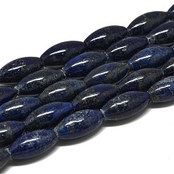 Lapis Lazuli Natural Lapis Lazuli Beads Strands, Rice, 21x10~10.5mm, Hole: 0.7mm, about 19pcs/strand, 15.35''(39cm)