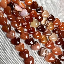 Red Agate Natural Red Agate Beads Strands, Heart, 10x10mm, about 38pcs/strand