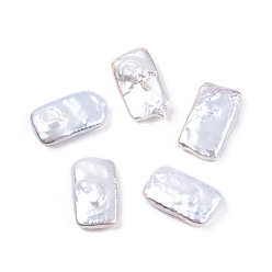 Seashell Color Baroque Natural Keshi Pearl Beads, Freshwater Pearl, No Hole/Undrilled, Rectangle, Seashell Color, 16~17x9~10x4~5mm