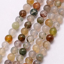 Agate Indienne Naturelles agate indienne perles brins, ronde, 3~3.5mm, Trou: 0.7mm, Environ 115~125 pcs/chapelet, 16 pouce