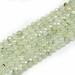 Prehnite Perles naturelles préhnite brins, facette, ronde, 3~3.5mm, Trou: 0.3mm, Environ 113 pcs/chapelet, 14.9 pouce
