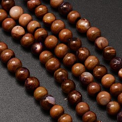 Brun De Noix De Coco Brins de perles rondes en coquille d'eau naturelle, teint, brun coco, 6mm, Trou: 1mm, Environ 62 pcs/chapelet, 14.5 pouce